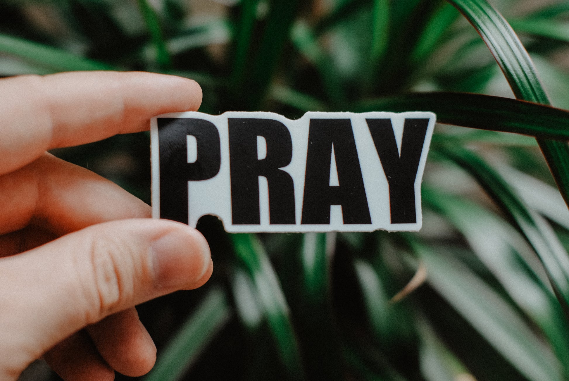 PRAY - Decal Sticker - Christian Bracelets and Apparel - In His Name Company Products