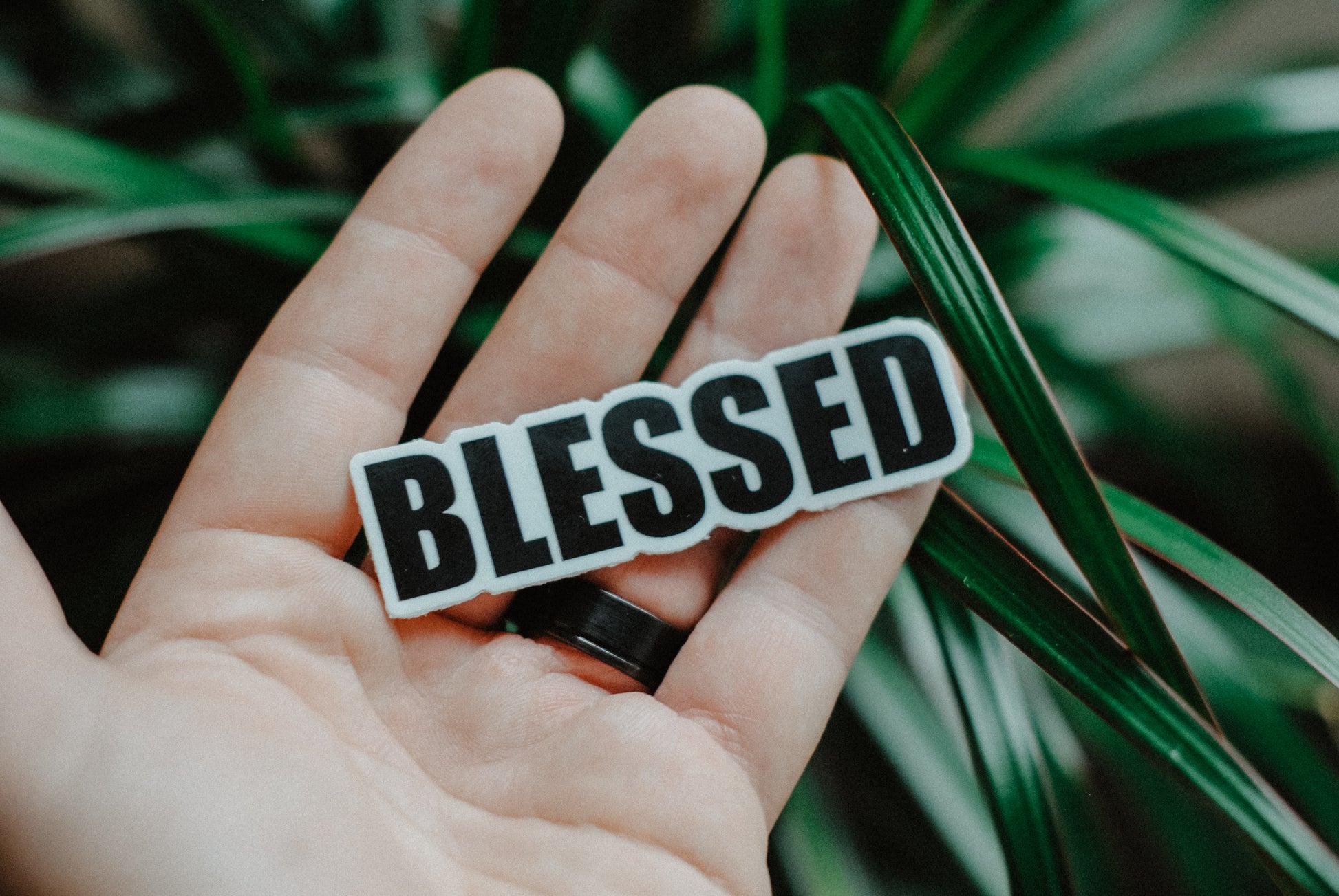Blessed - Decal Sticker - Christian Bracelets and Apparel - In His Name Company Products